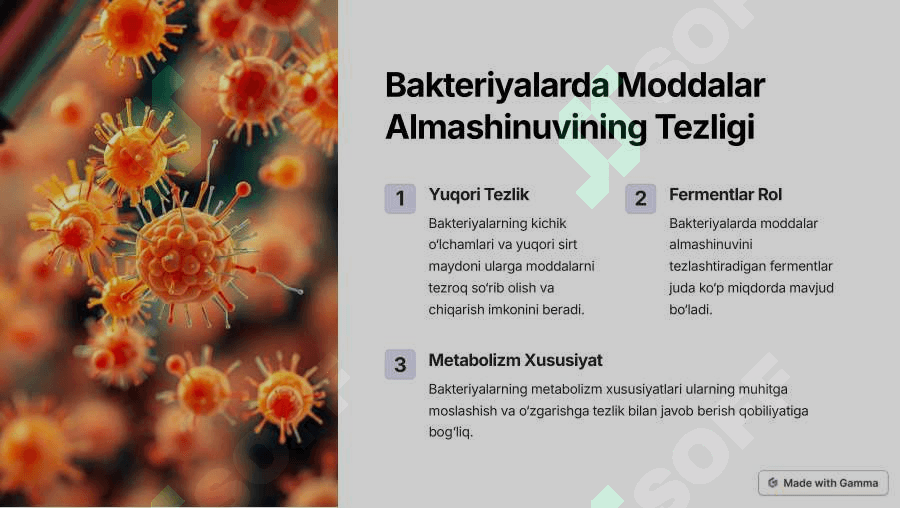 Bakteriyalarda-Moddalar-Almashinuvi 2