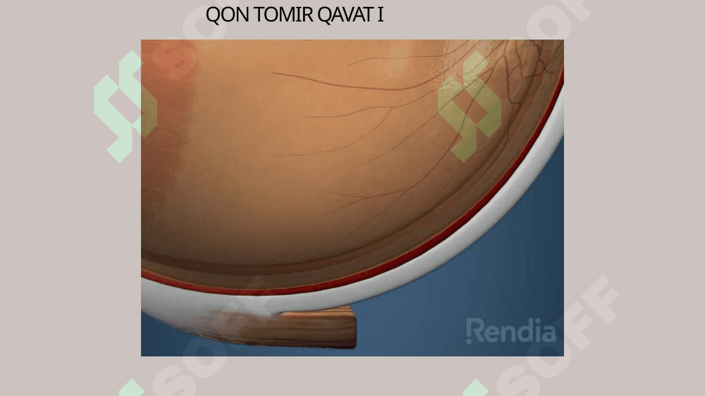 Ko'rish analizatori 5
