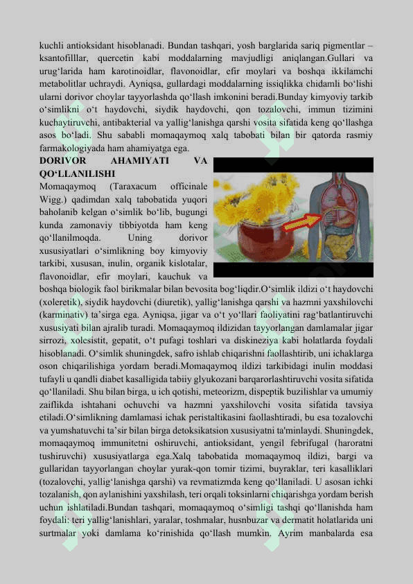 MOMAQAYMOQ O‘SIMLIGINING DORIVOR XUSUSIYATLARI VA UNDAN OQILONA FOYDALANISH 3