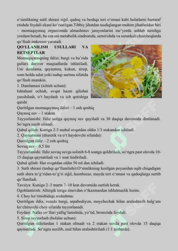 MOMAQAYMOQ O‘SIMLIGINING DORIVOR XUSUSIYATLARI VA UNDAN OQILONA FOYDALANISH 4