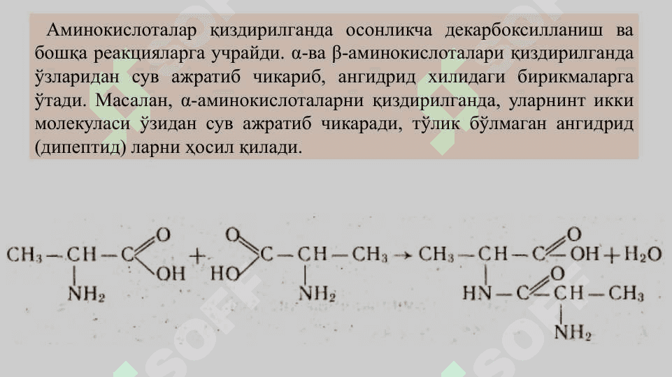 Аминокислоталар гуруҳига кирган дори воситалари 4