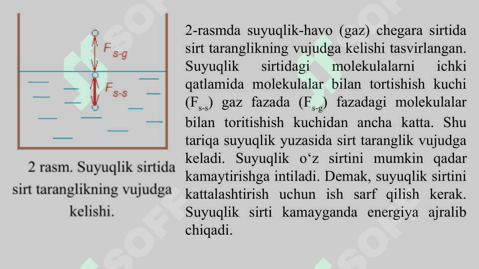 Sirt xodisalar va adsorbsiya 6