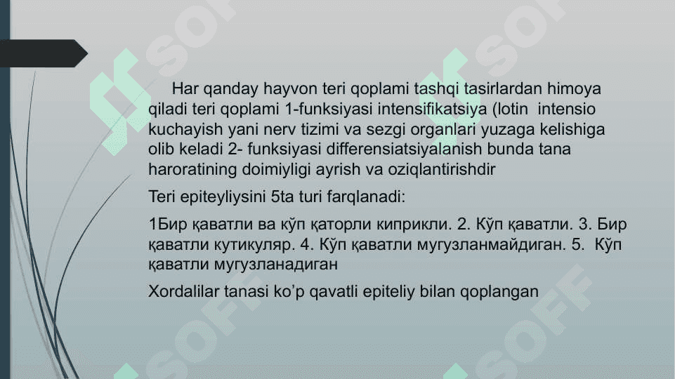 Qoplovchi va Tayanch harakat tizimi     ontofilogenezi 2