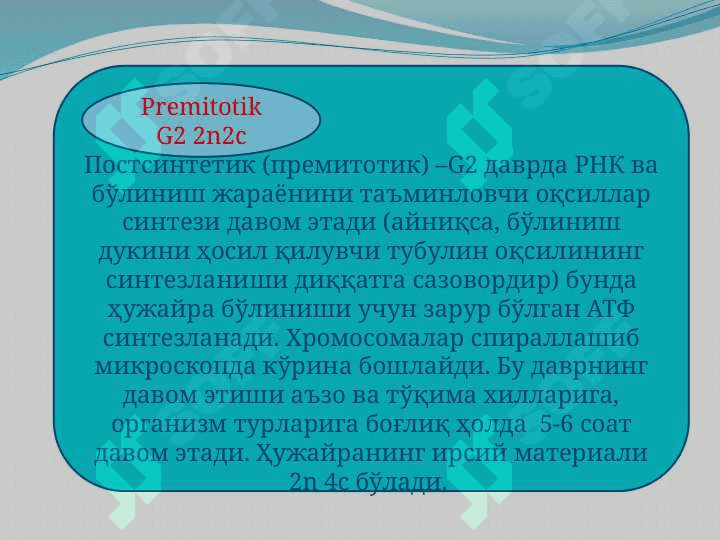 “Mitozning biologik ahamiyati va patologiyasi” 8