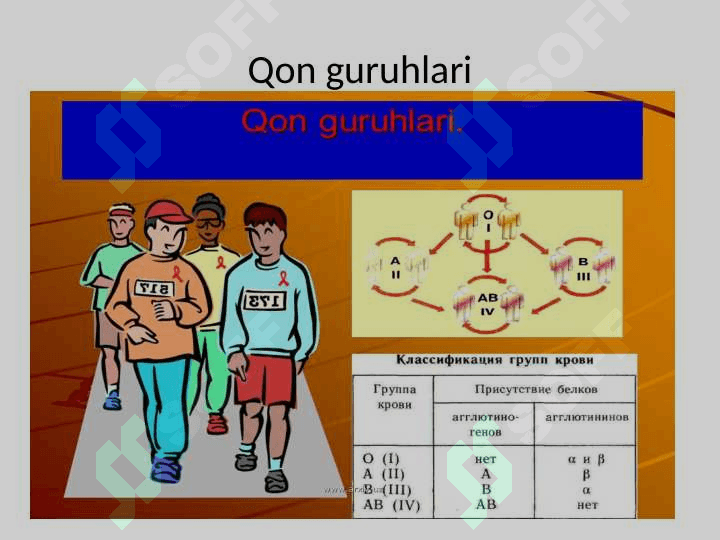 Qon guruhlari.Rezus faktor.Qon quyish asoslari 2