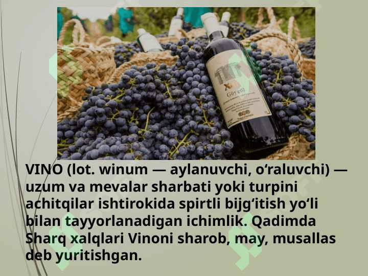 Vino spirti 2