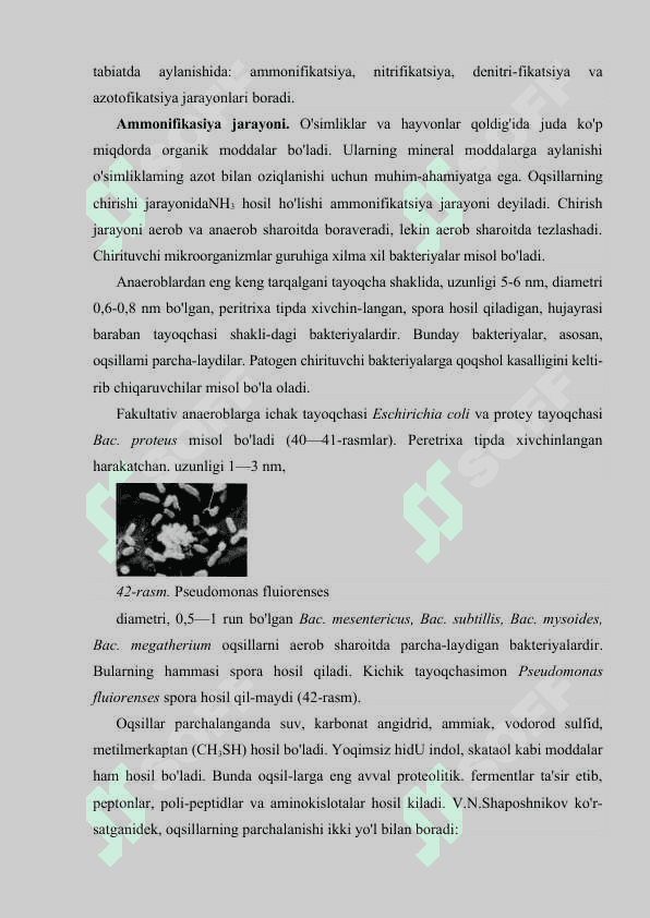 TABIATDA AZOTNING AYLANISHIDA MIKROORGANIZMLARNING O’RNI 4