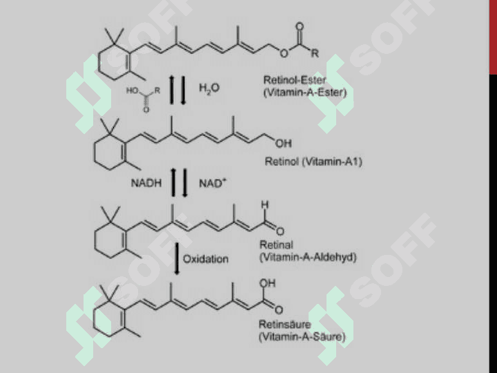 VITAMINLAR TUZILISHI 4