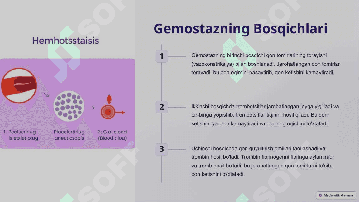Gemostaz va Fibrinoliz: Qonning To'xtashi va Erituvchi Jarayonlar 2