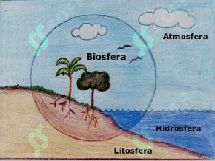 Biosfera va unda kechayotgan jarayonlar 4