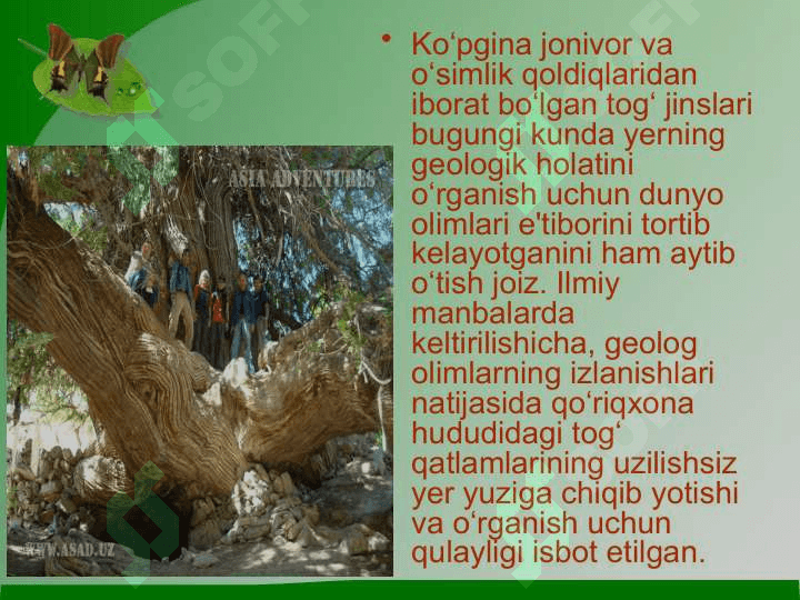 «Kitob» davlat geologik qo‘riqxonasi ekosayyohlik resurslari 5