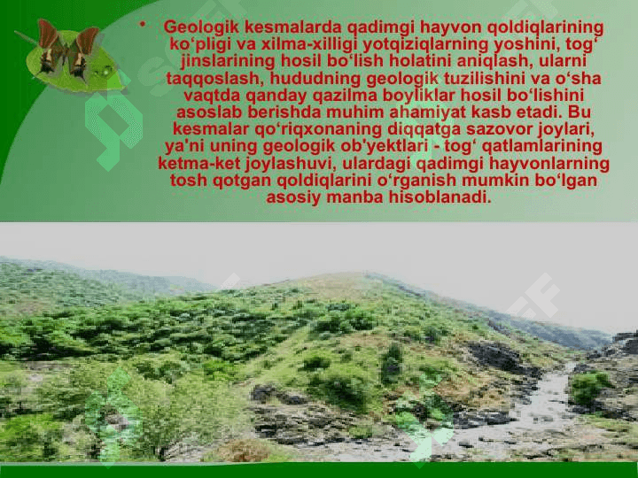 «Kitob» davlat geologik qo‘riqxonasi ekosayyohlik resurslari 6
