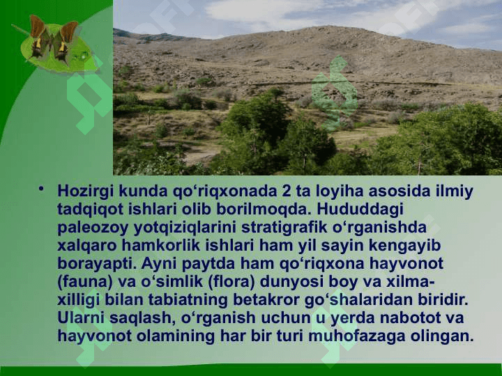 «Kitob» davlat geologik qo‘riqxonasi ekosayyohlik resurslari 8