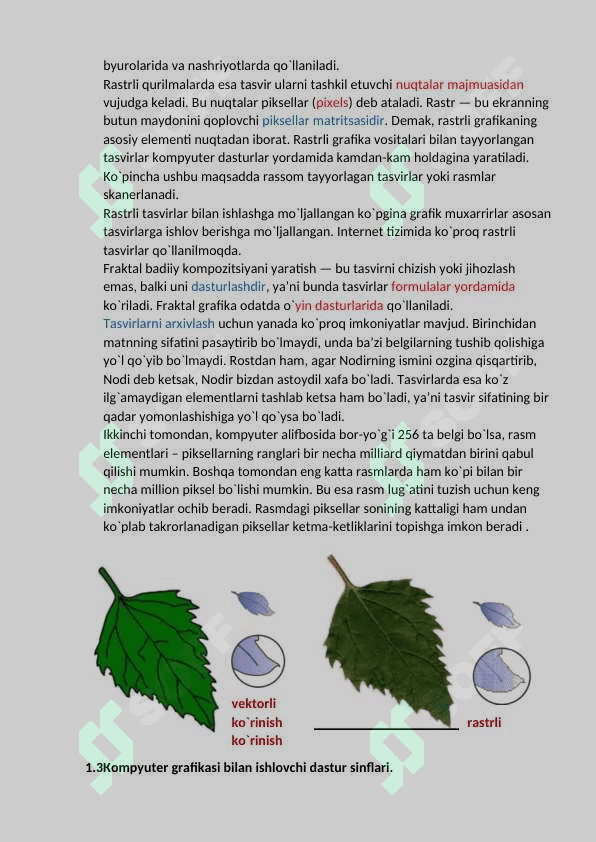 Kompyuter grafikasi bilan ishlovchi dasturlar va ularning imkoniyatlari 8