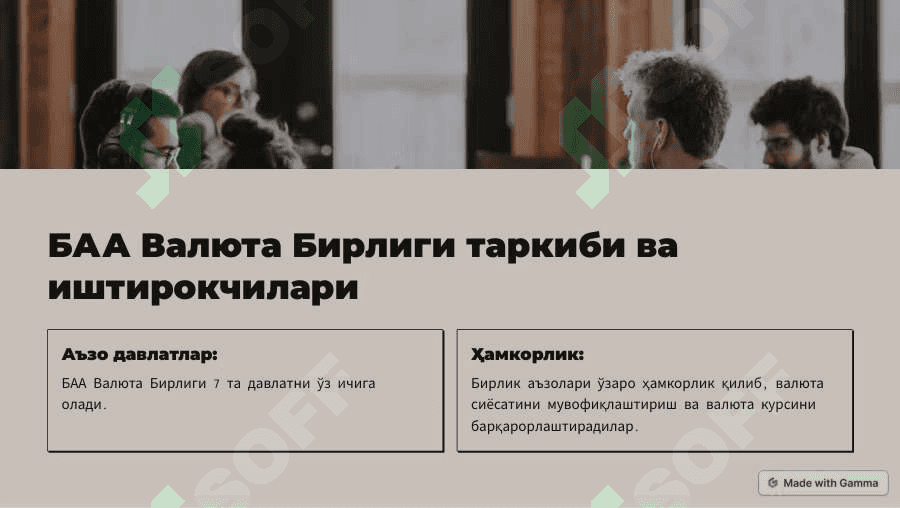 БАА Валюта Бирлиги 3
