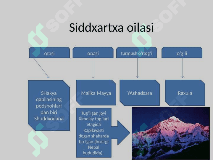 Buddaviylik 5