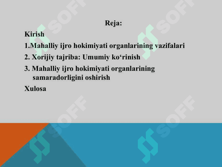 Mahalliy ijro hokimiyati xorijiy tajriba 2