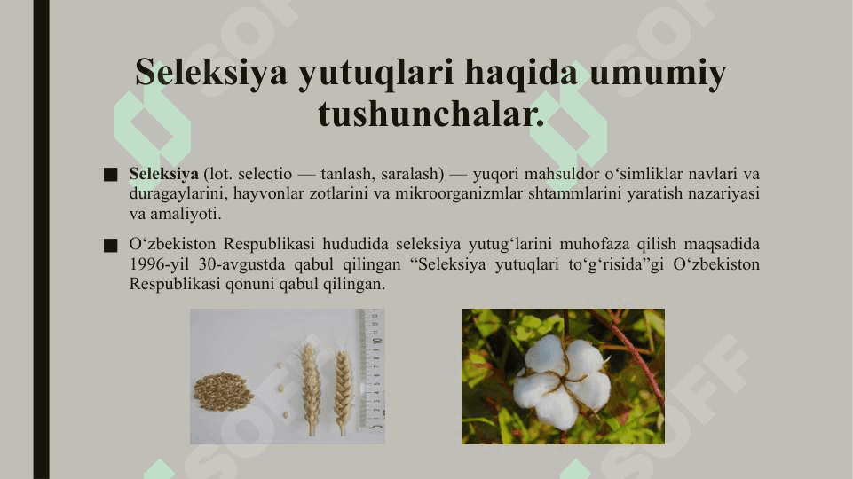 Seleksiya yutuqlariga bo‘lgan huquq 3