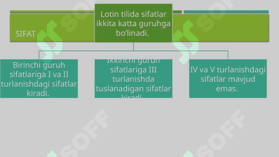 1 va 2 turlanishdagi sifatlar (lotin tili) 4