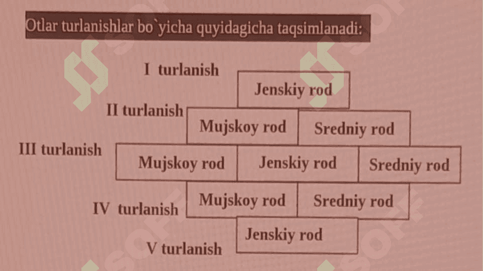 2-turlanishdagi sredniy roddagi otlar (lotin tili) 3