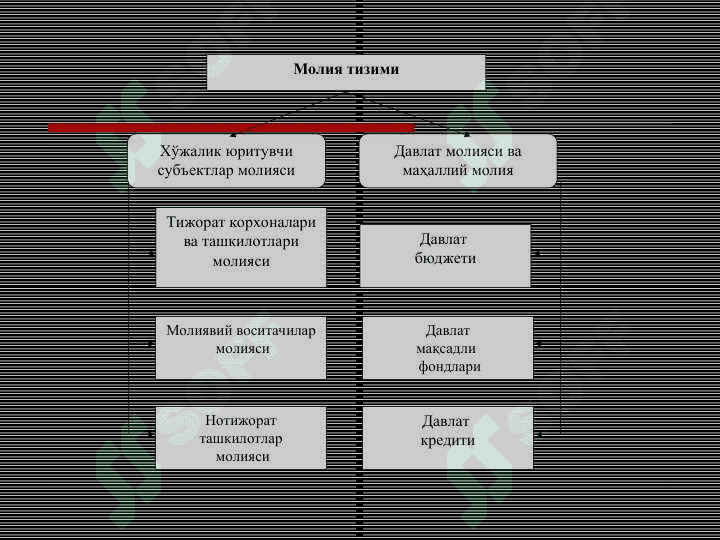 MOLIYA TIZIMI 3