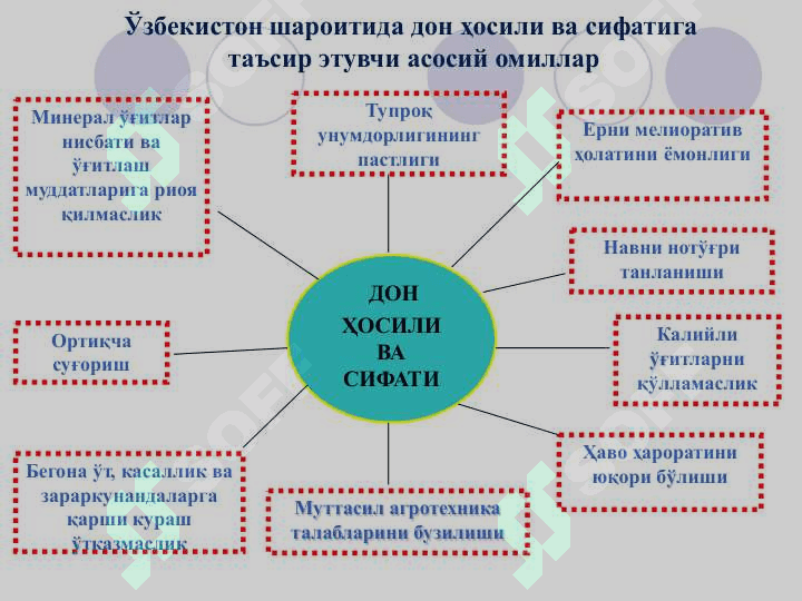 ЎСИМЛИКЛАР БИОЛОГИЯСИНИНГ ШАКЛЛАНИШ ШАРОИТЛАРИ, ҲОСИЛНИНГ ШАКЛЛАНИШИГА ТАЪСИР КЎРСАТУВЧИ ОМИЛЛАР 4