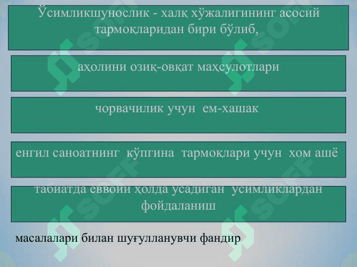 Ўсимликшунослик фанининг мақсади ва вазифаси, дала экинларининг умумий тавсифи ва гуруҳи 3