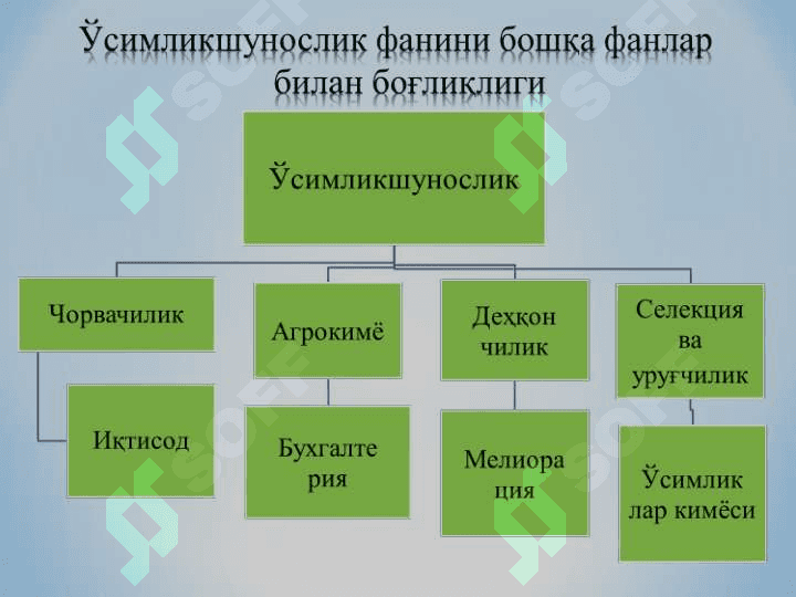 Ўсимликшунослик фанининг мақсади ва вазифаси, дала экинларининг умумий тавсифи ва гуруҳи 5