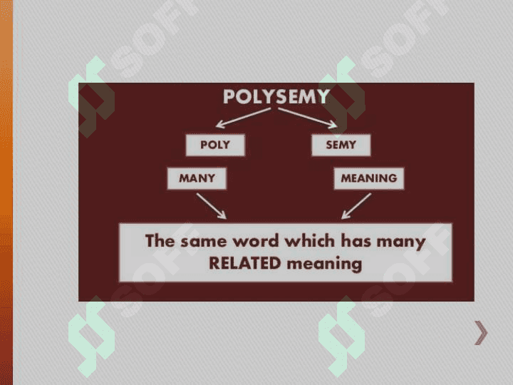 Homonymy and polysemy 3