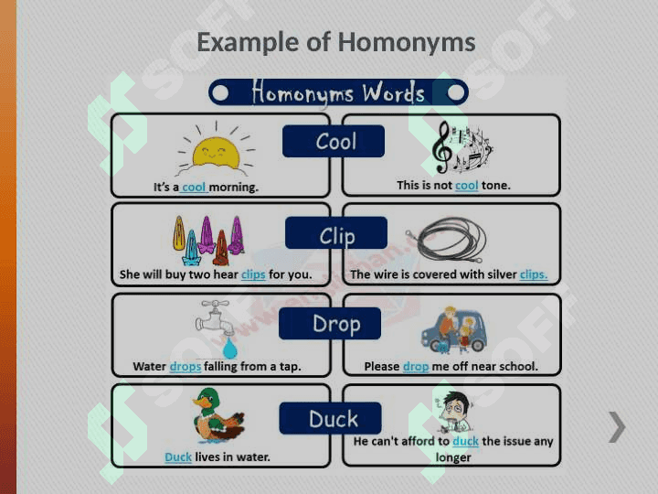 Homonymy and polysemy 4