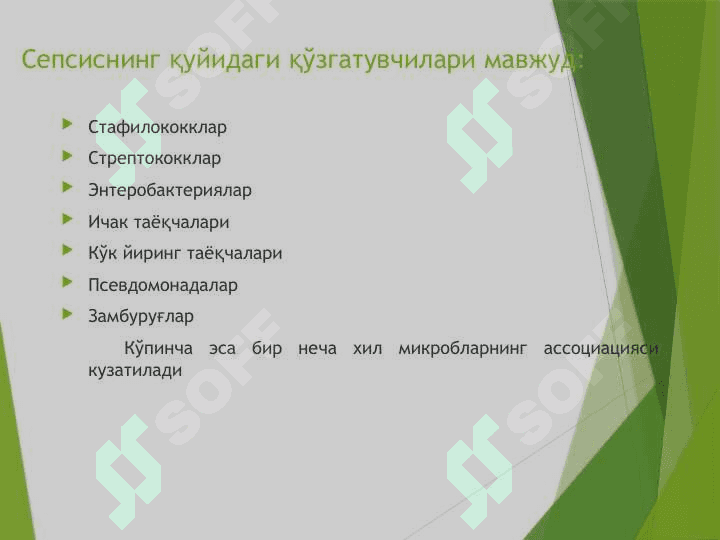 Мавзу. Серсиснинг замонавий таснифи 7