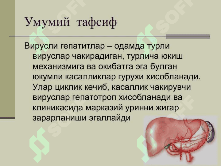 ВИРУСЛИ ГЕПАТИТЛАР 2