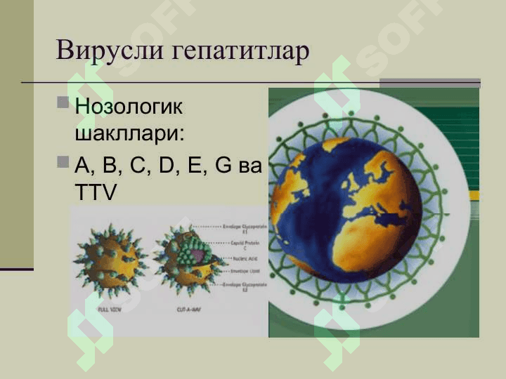 ВИРУСЛИ ГЕПАТИТЛАР 3