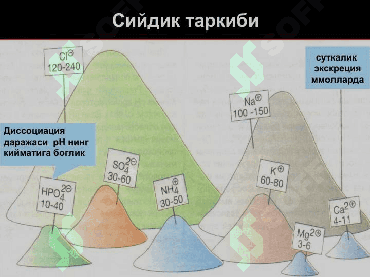 Буйрак патофизиологияси 7