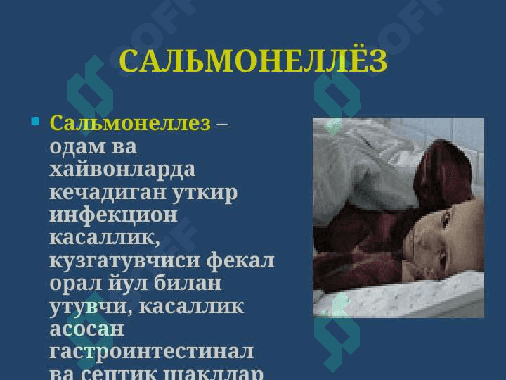 Salmonelloz Ovqatdan zaharlanish Botulizm Сальмонеллез. Овкатдан захарланиш. Ботулизм 2