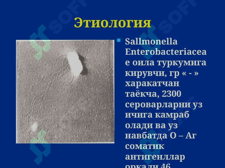 Salmonelloz Ovqatdan zaharlanish Botulizm Сальмонеллез. Овкатдан захарланиш. Ботулизм 5