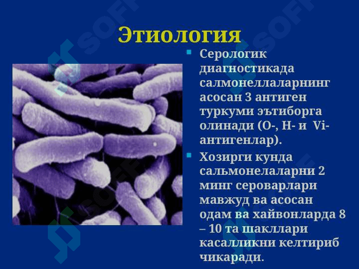Salmonelloz Ovqatdan zaharlanish Botulizm Сальмонеллез. Овкатдан захарланиш. Ботулизм 6