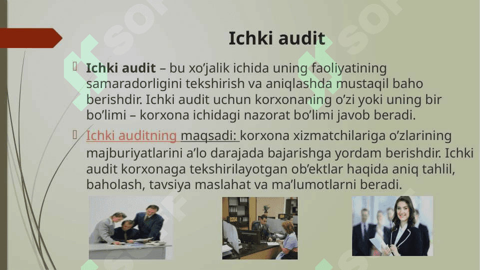 Audit turlari va funksional tasnifi 8