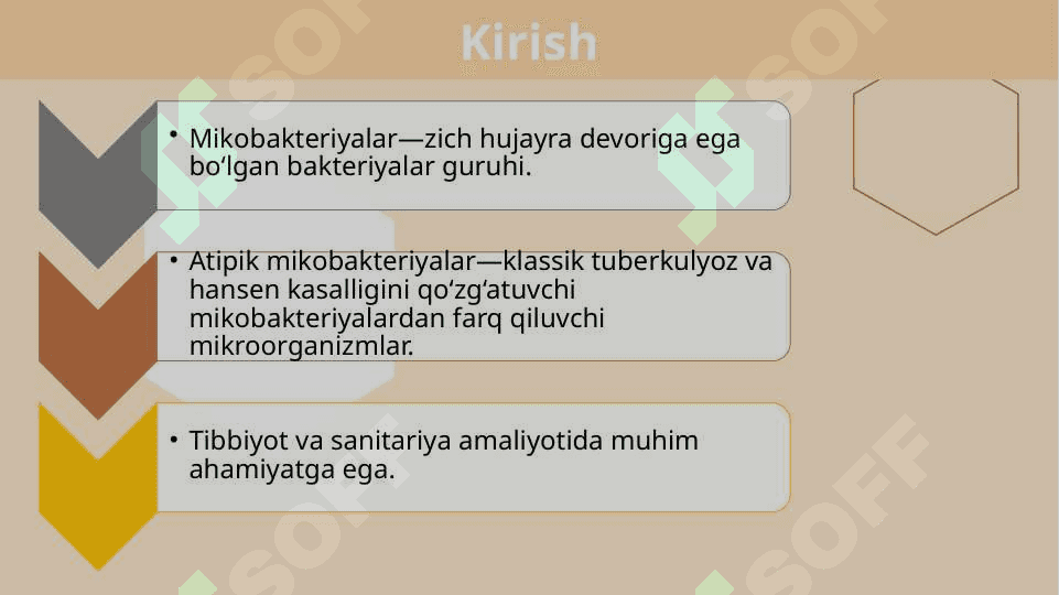 Atipik mikobakteriyalar va ularning amaliyotdagi ahamiyati 2