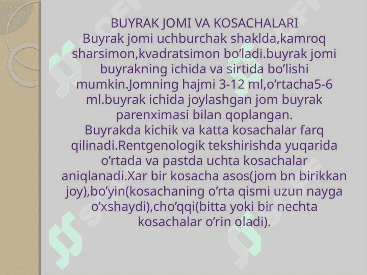 BUYRAK ,SIYDIK NAYLARI, SIYDIK PUFAGI NUR TEKSHIRUV USULLARI. BUYRAK, SIYDIK NAYLARI, SIYDIK PUFAGI NUR ANATOMIYASI 3