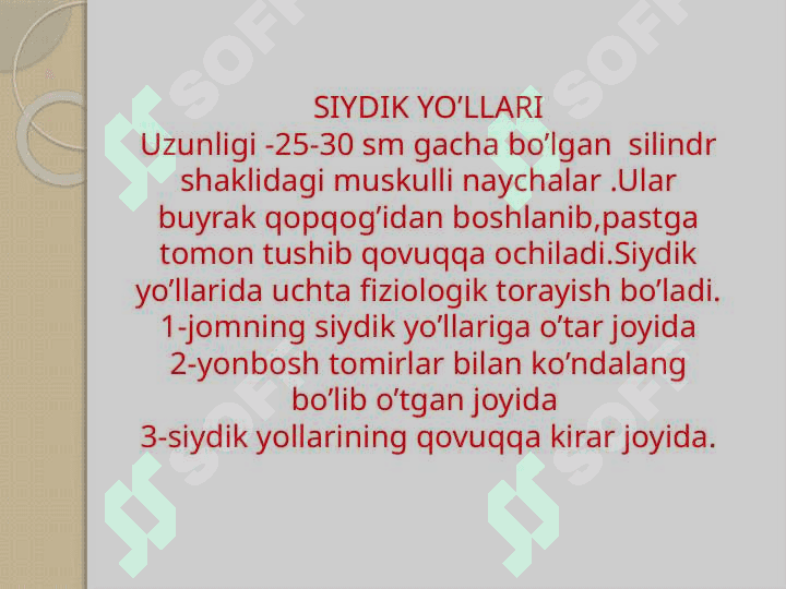 BUYRAK ,SIYDIK NAYLARI, SIYDIK PUFAGI NUR TEKSHIRUV USULLARI. BUYRAK, SIYDIK NAYLARI, SIYDIK PUFAGI NUR ANATOMIYASI 4