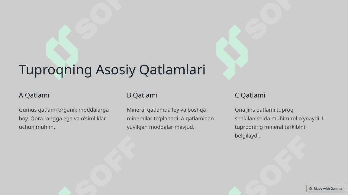 Tuproq qatlamining tuzilishi 3