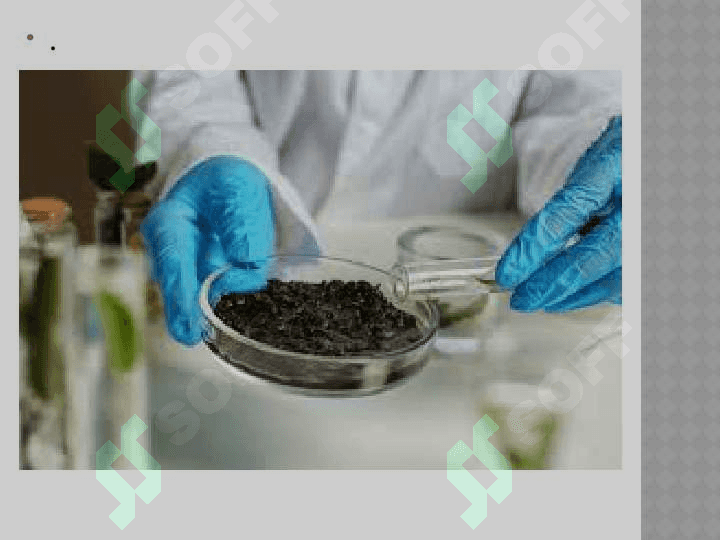 Tuproqshunoslik  fanining  rivojlanish  tarixi 4