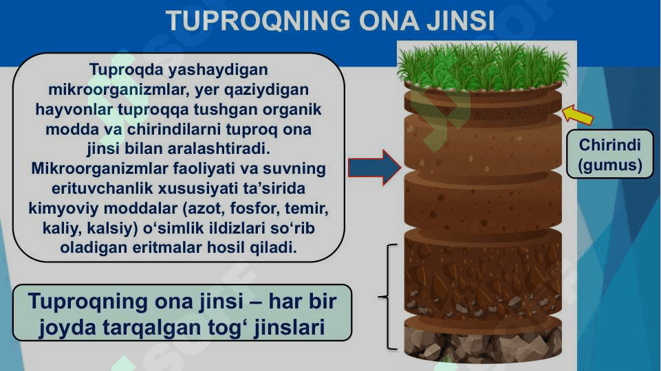 Chala cho’llar zonasining tuproqlari 4
