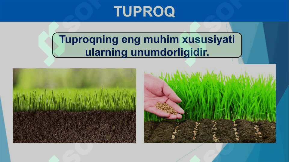 Chala cho’llar zonasining tuproqlari 5
