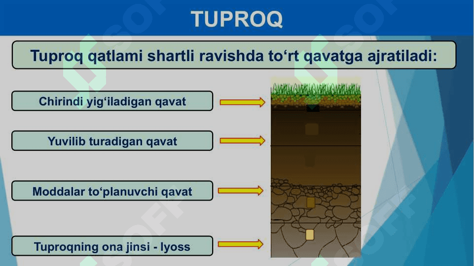 Chala cho’llar zonasining tuproqlari 6