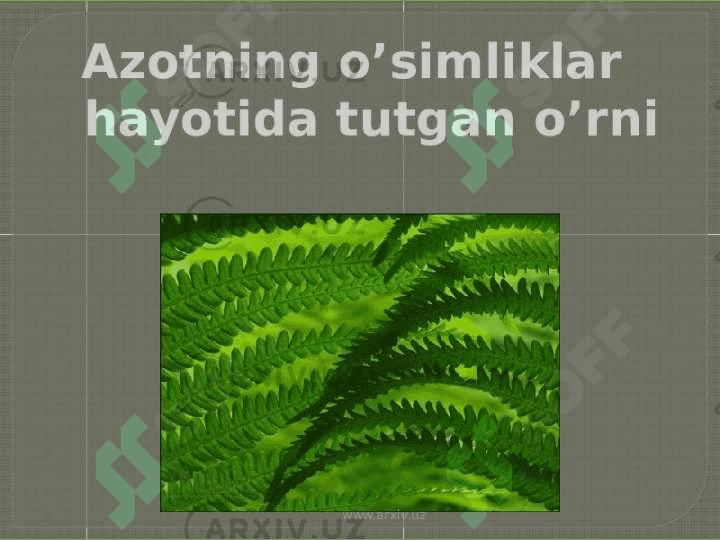 Azotning o'simliklar rivojlanish davrlari va hosiliga  ta'siri 3