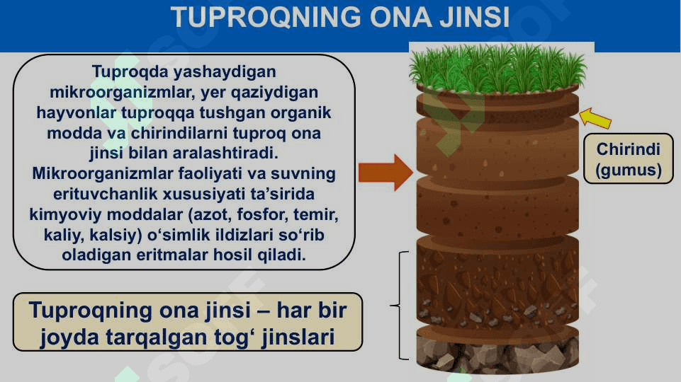 Tuproqlar haqida tushuncha.  O‘rta Osiyo tuproqlari 4
