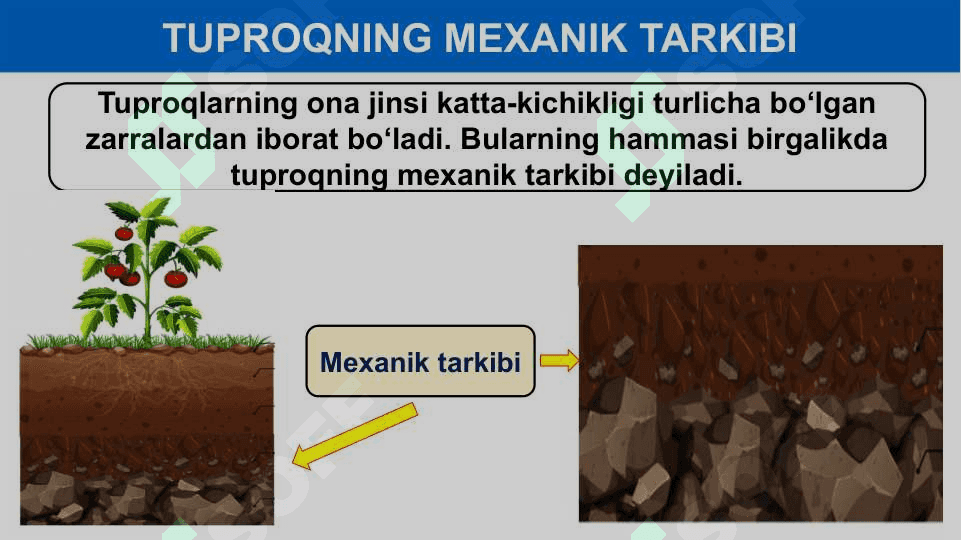 Tuproqlar haqida tushuncha.  O‘rta Osiyo tuproqlari 7