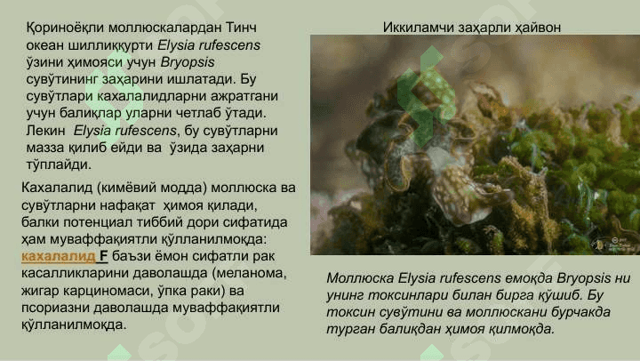 Одам ва заҳарли ҳайвонлар 5